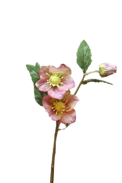 Artificial Pale Pink Hellebores