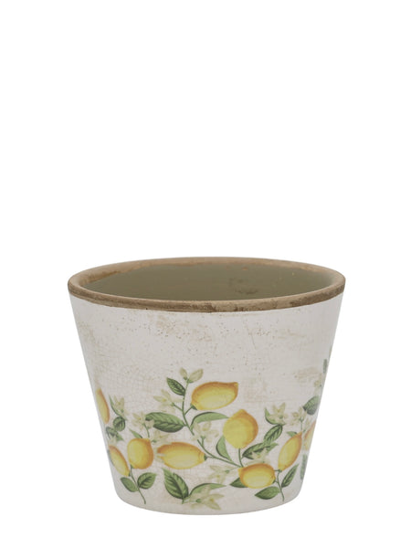 Lemon Blossom Pot