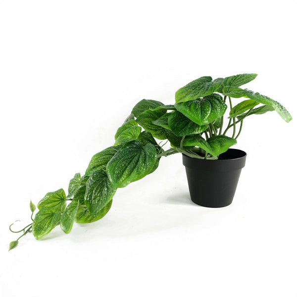 Artificial Trailing Potted Pothos Plant