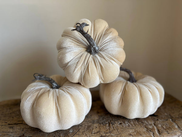 Ivory Velvet Pumpkin
