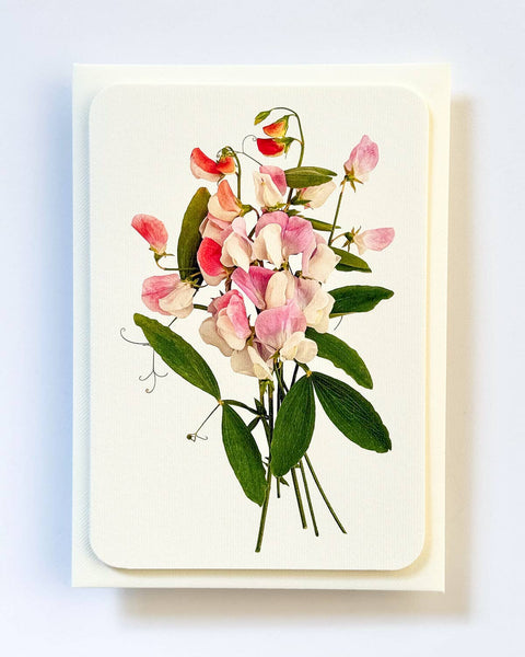 Pink Sweet Peas Birthday Card