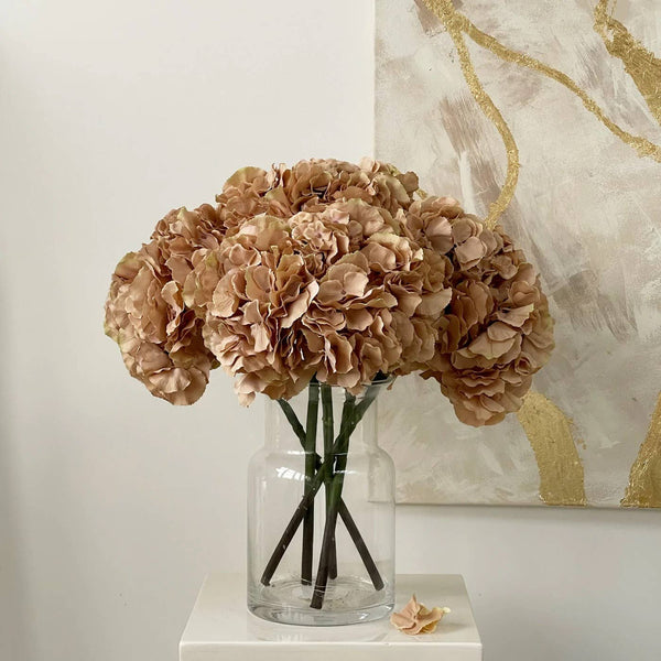 Pale Coffee Hydrangea Extra large Head