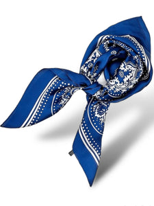 Blue Printed Scarf