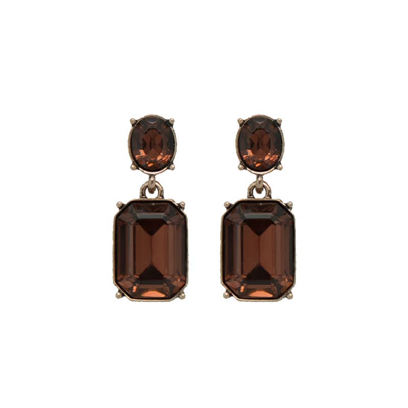 Dark Brown Oval Twin Gem Earring