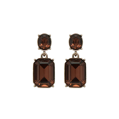 Dark Brown Oval Twin Gem Earring