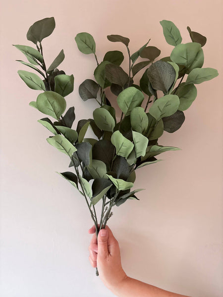 Eucalptus Bunch
