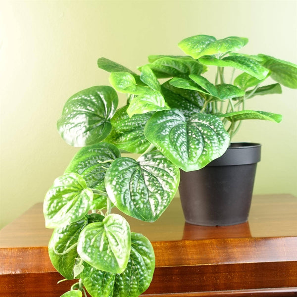 Artificial Trailing Potted Pothos Plant