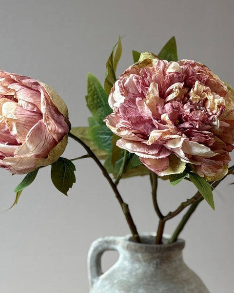 Dusty Pink Full Bloom Double Peony