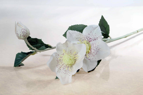 Artificial White Hellebores