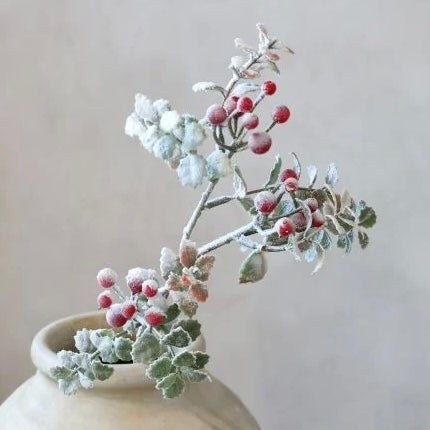 Christmas Branch With Berries & Leaves