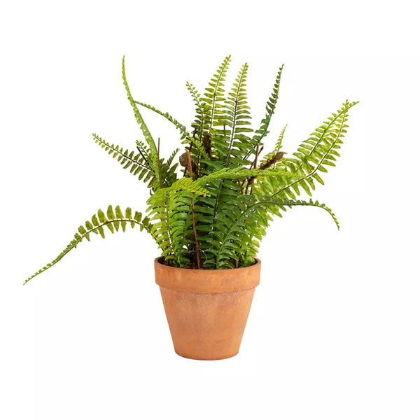 Boston Faux Fern in Pot By Grand Illusions