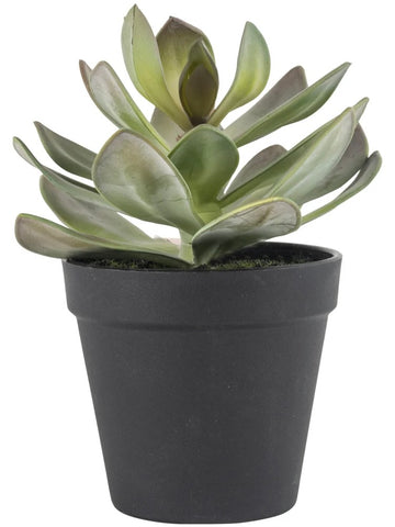 Faux Potted Aloe Succulent