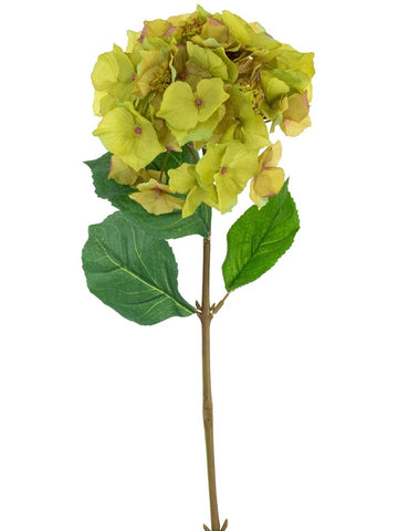 Faux Green Hortensia