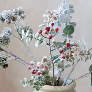 Christmas Branch With Berries & Leaves