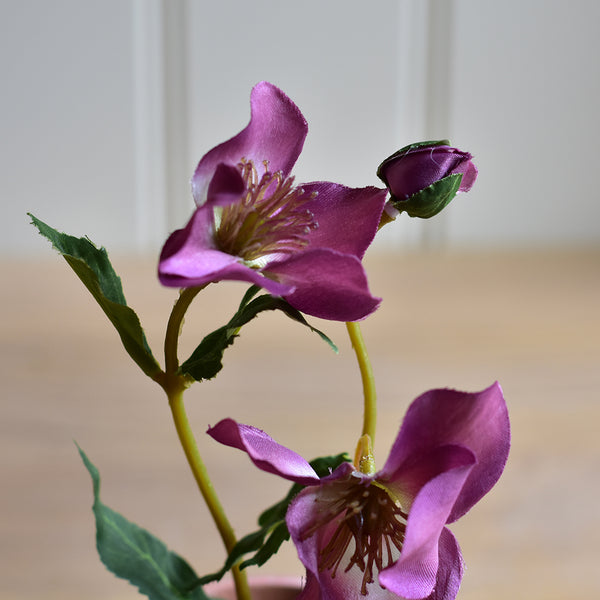 Faux Purple Hellebore In Pot