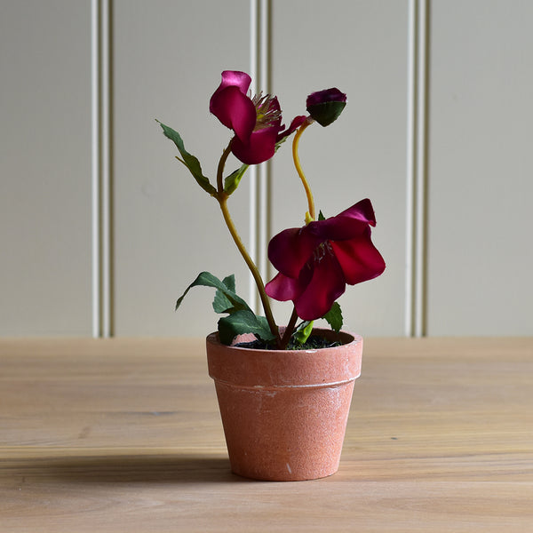 Faux Pink Hellebore In Pot