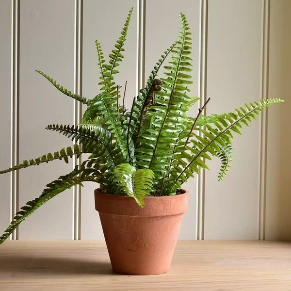 Boston Faux Fern in Pot By Grand Illusions