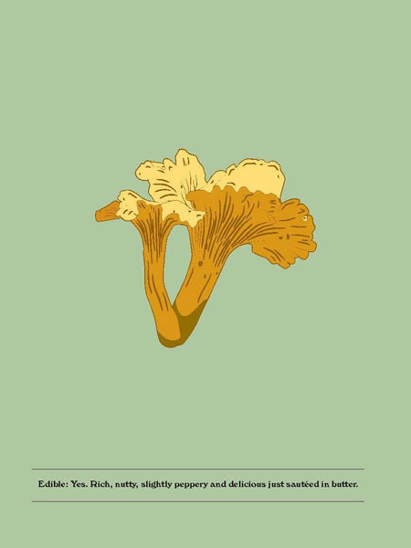 Mushrooms: A Guide For The Curious By Susan E. Clark