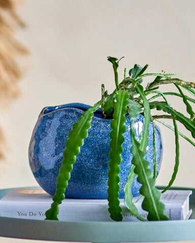 Blue Stoneware Flowerpot