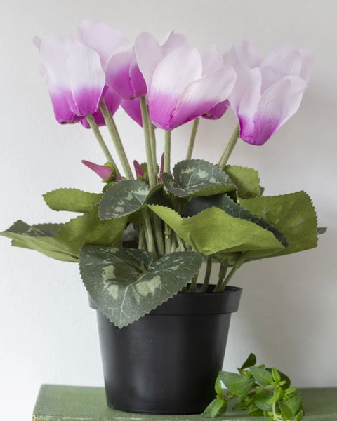 Faux Cyclamen Pink in Pot