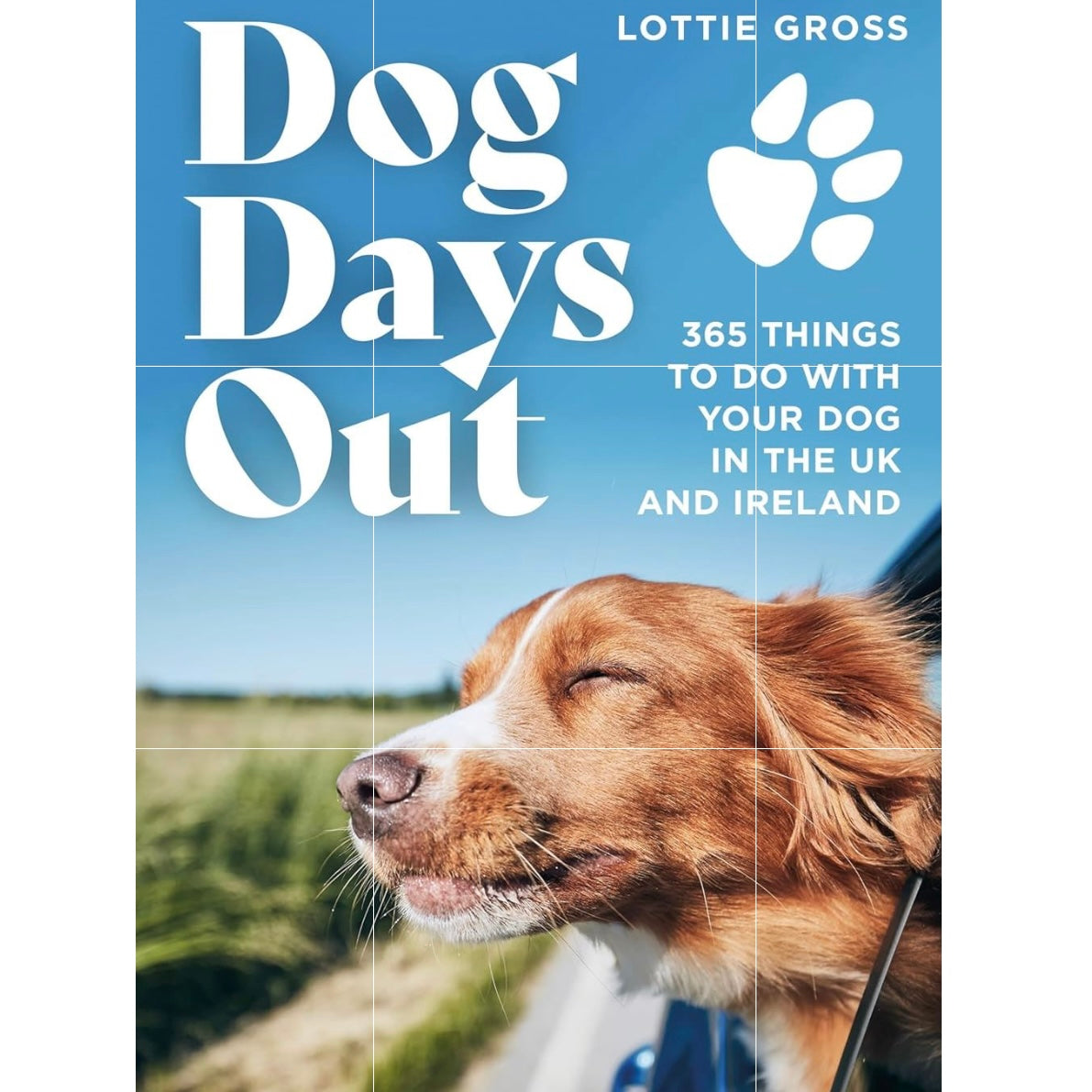 Dog Days Out Uk And Ireland By Lottie Gross