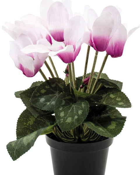 Faux Cyclamen Pink in Pot