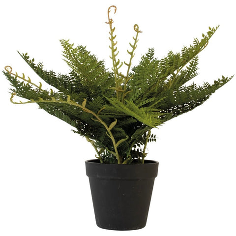 Wood Faux Fern in Pot By Grand Illusions