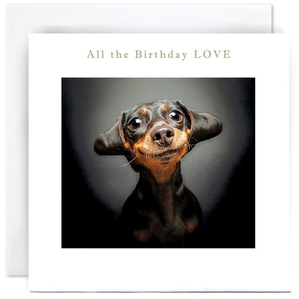 'All Birthday Love' Dog Card By Susan O'Hanlon