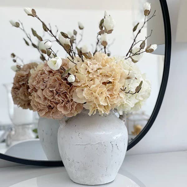 Pale Coffee Hydrangea Extra large Head