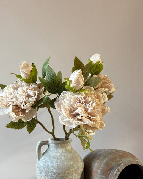 Nude Full Bloom Double Peony