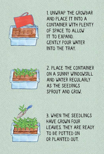 The Cocktail Growbar
