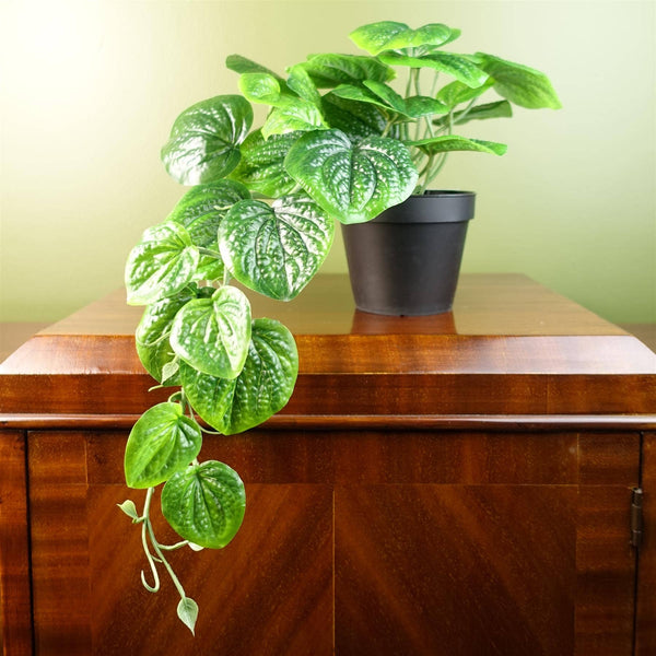 Artificial Trailing Potted Pothos Plant