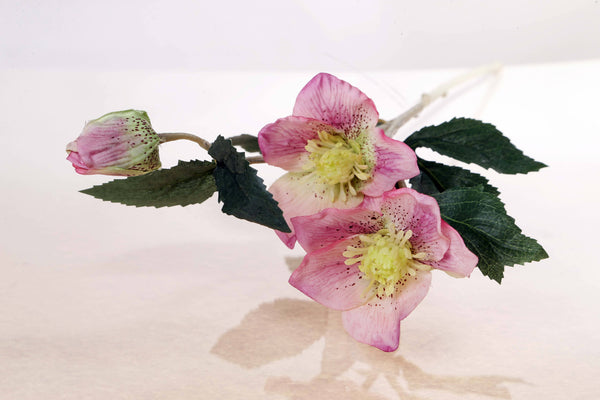 Artificial Pale Pink Hellebores