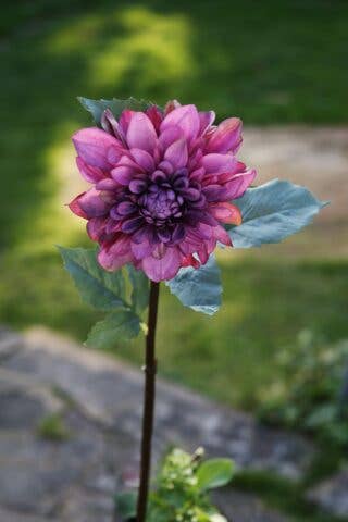 Artificial Mauve Dahlia large Silk Flower Stem