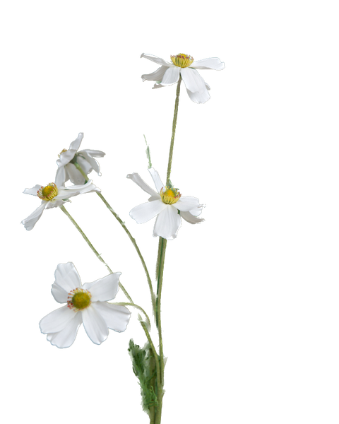 Artificial White Cosmos Daisy Silk Spray  Stem