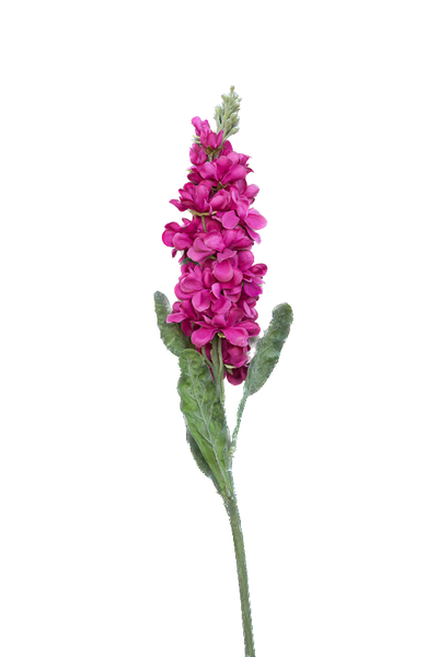 Artificial Dark Pink Stocks
