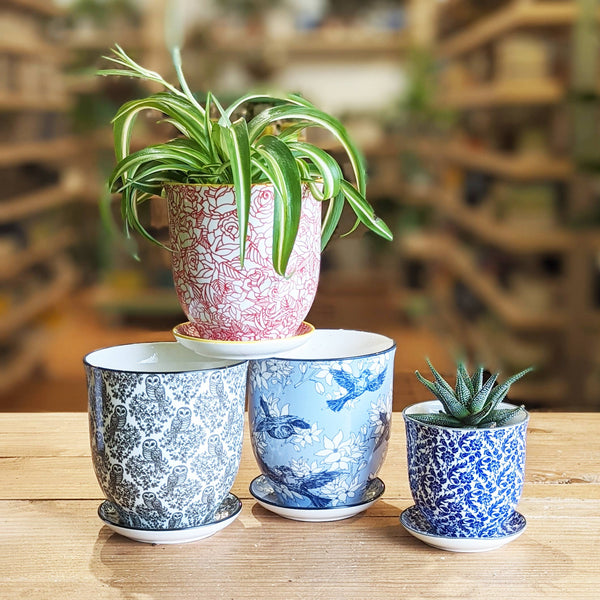 Blue Ceramic Pot with Saucer and Drainage Hole
