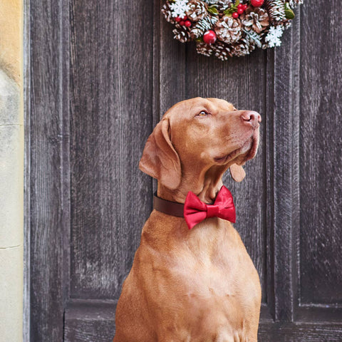 Bow Tie - Christmas Red Velvet