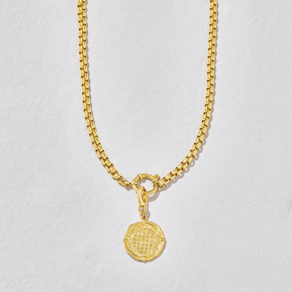 Dakota Chunky Gold Choker Necklace