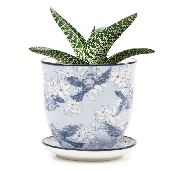 Blue Ceramic Pot with Saucer and Drainage Hole