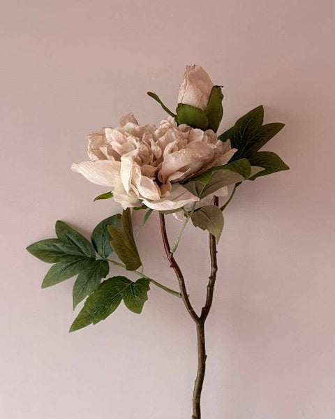 Nude Full Bloom Double Peony