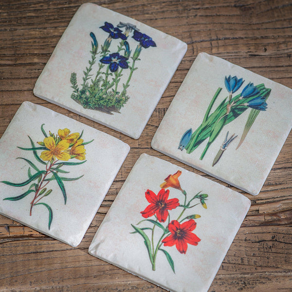 Floral Coasters