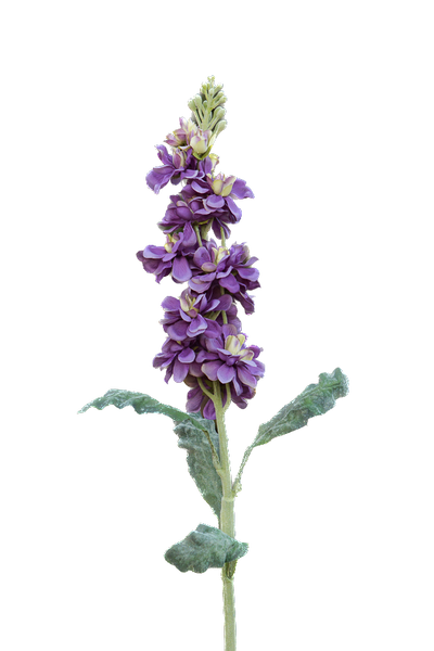 Artificial Mauve Stocks