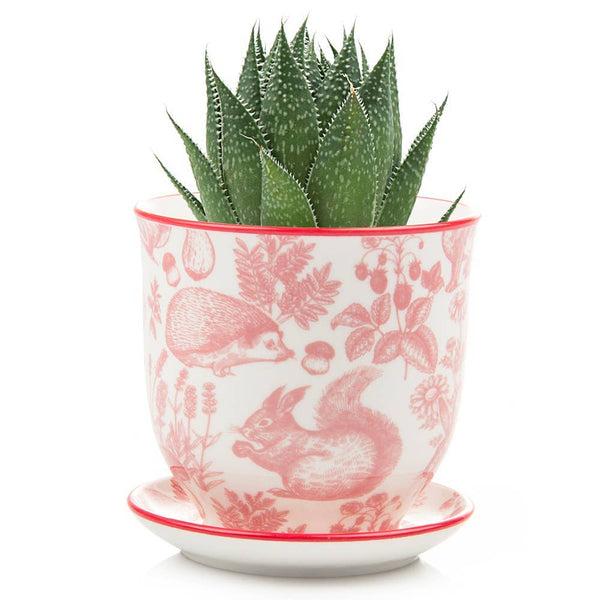 Blue Ceramic Pot with Saucer and Drainage Hole