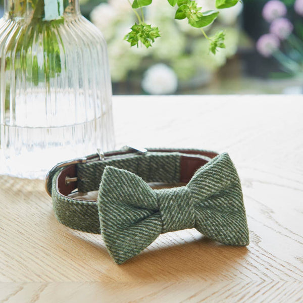 Bow Tie - Green Tweed