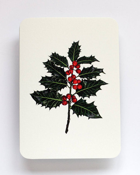 Christmas Holly Christmas Greeting Card | Christmas Card