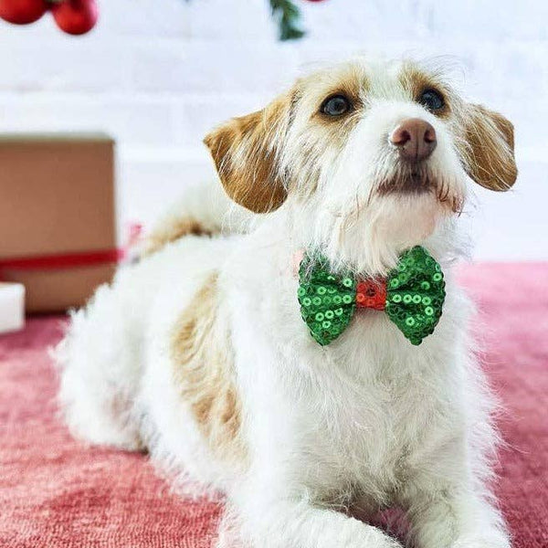 Dog Sequin Bow Tie