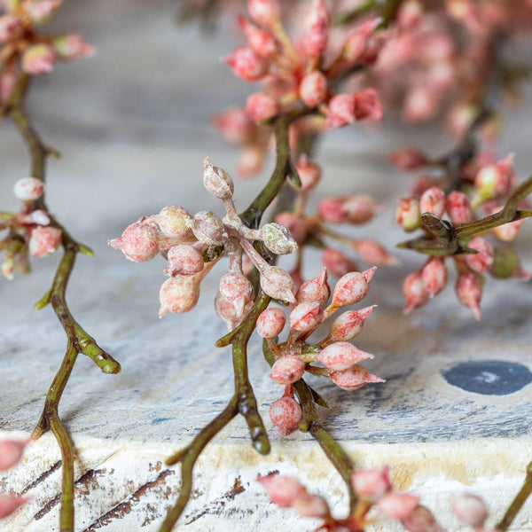 ARTIFICIAL SUCCULENT BRANCH, CORAL