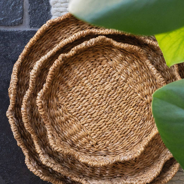 Small Bangali Scallop Lidded Storage Basket