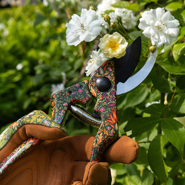 Orange Grove Secateurs - William Morris